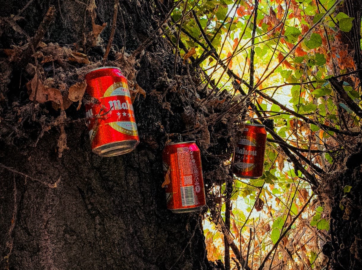Latas sobre un árbol, fotografía de encontrado